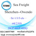 Mar de Porto de Shenzhen transporte de mercadorias para Owendo